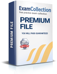 300-510 Premium File